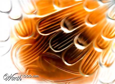 Photography by lilmart