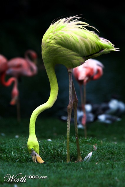 Photoshop Design by imagination3