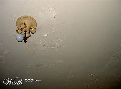 Photography by PaulC44446