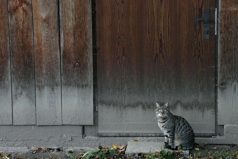 Fotografía por Sapperlott para DesignCrowd (Community Contests) | Diseño #9069939