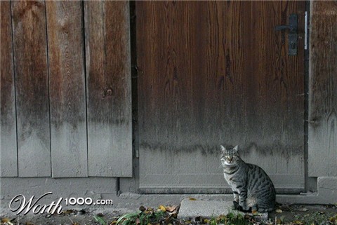 Photography by Sapperlott