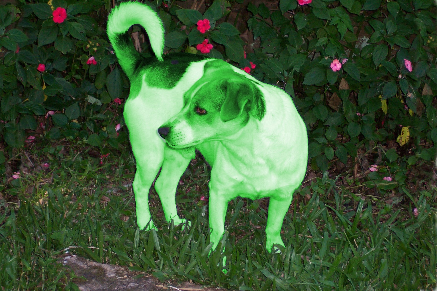 Design Photoshop par yavannilde pour DesignCrowd (Community Contests) | Design #9088557