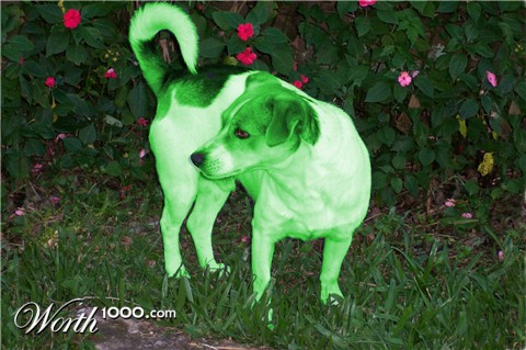 Photoshop Design by yavannilde