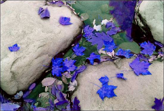 Photoshop Design by jasonbank for DesignCrowd (Community Contests) | Design #9088622