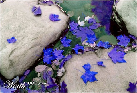 Photoshop Design by jasonbank