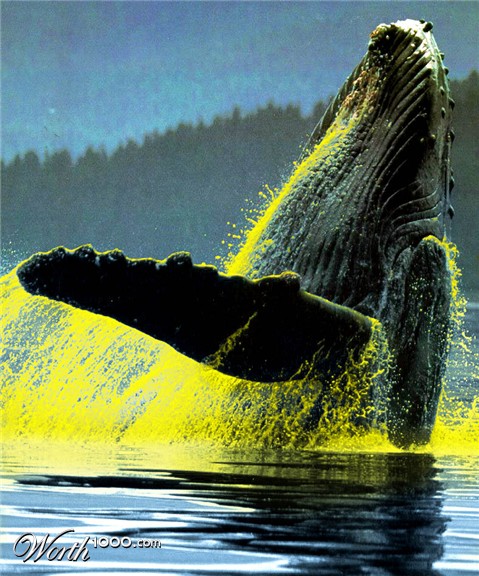 Photoshop Design by godzillatemple