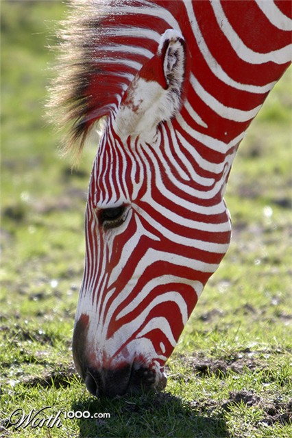 Photoshop Design by Mupshur