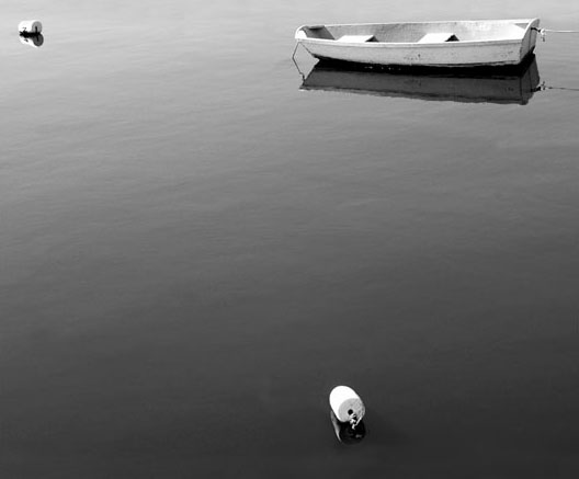 Photography by radamarin for DesignCrowd (Community Contests) | Design #9069980