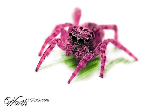 Photoshop Design by Monkeyknife