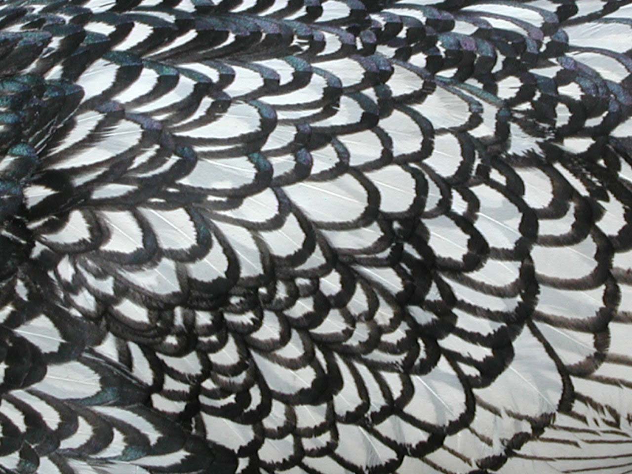 Photography by klxner for DesignCrowd (Community Contests) | Design #9090664