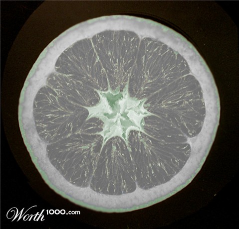 Photoshop Design by vehpus