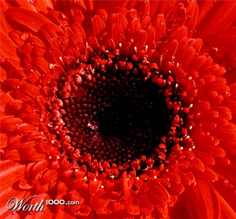 Photography by lilmart