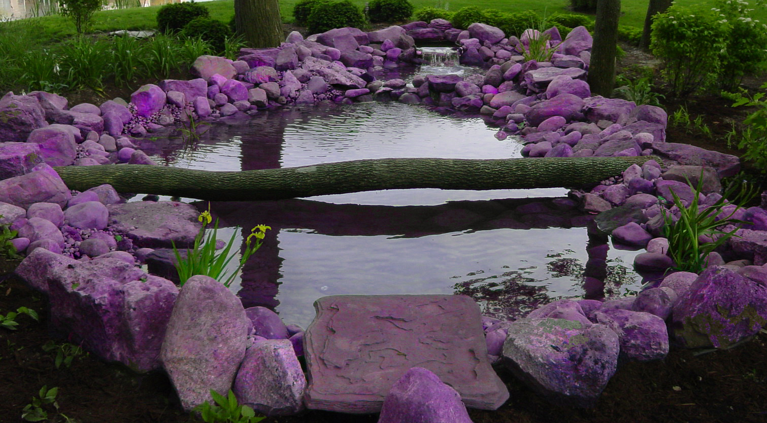 Photoshop Design by WhiteWing for DesignCrowd (Community Contests) | Design #9088833