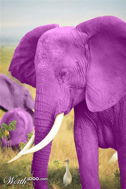 Photoshop Design by JohnPablo