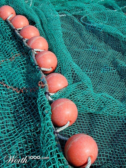 Photography by KarenC