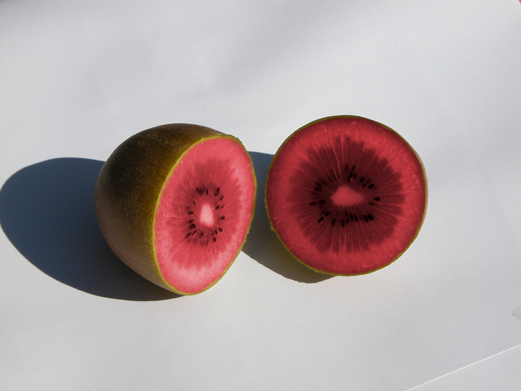 Photoshop Design by grooveart for DesignCrowd (Community Contests) | Design #9088998