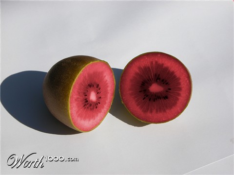 Photoshop Design by grooveart