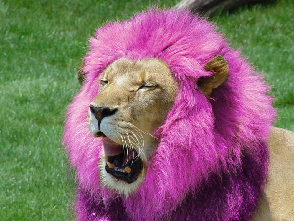 Photoshop-Design von Chazcarp für DesignCrowd (Community Contests) | Design #9088917