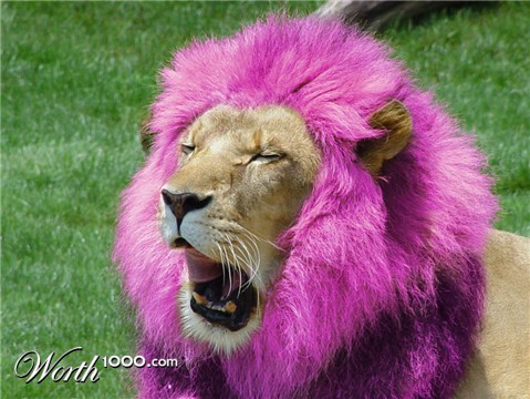 Photoshop Design by Chazcarp