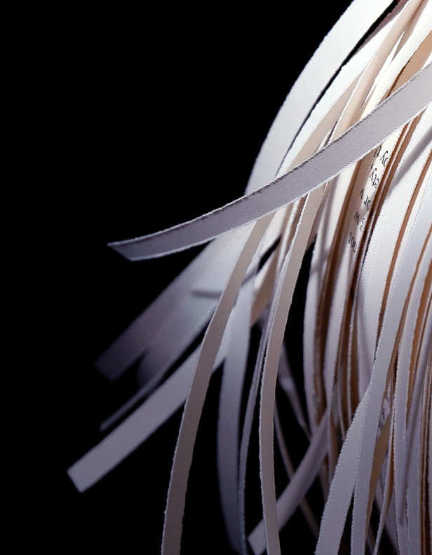 Fotografía por koalachimbo para DesignCrowd (Community Contests) | Diseño #9085850