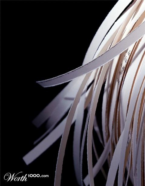 Photography by koalachimbo