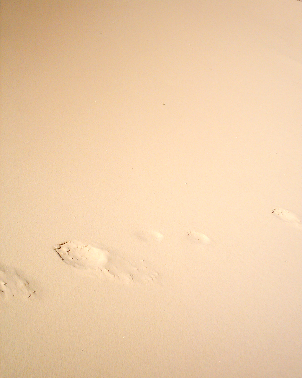 Photography by CheckMinus for DesignCrowd (Community Contests) | Design #9070041