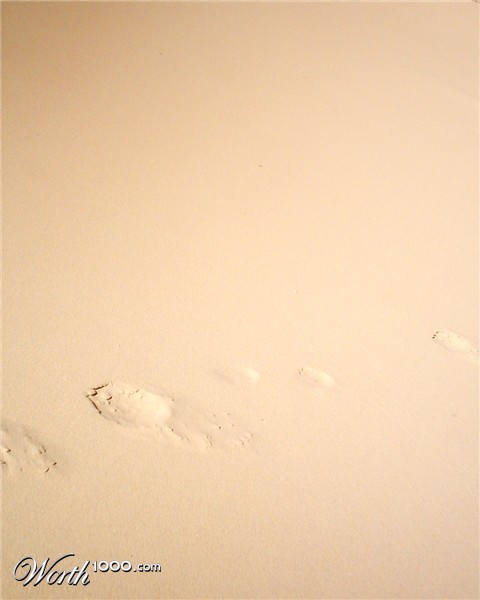 Photography by CheckMinus