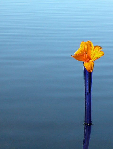 Photography by tiffini for DesignCrowd (Community Contests) | Design #9070043