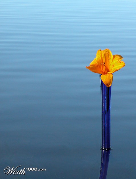 Photography by tiffini