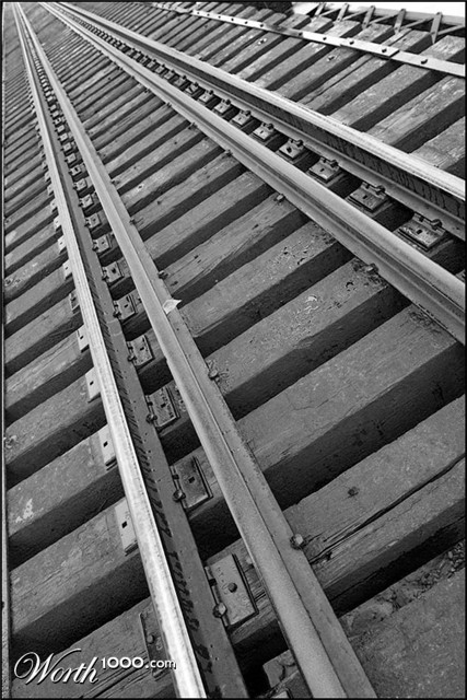 Photography by hoshkiw