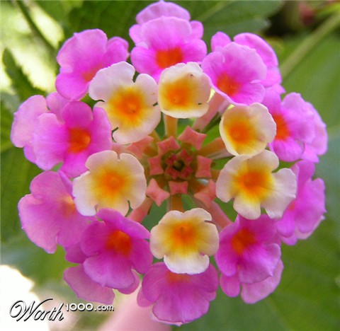 Photography by jasoned