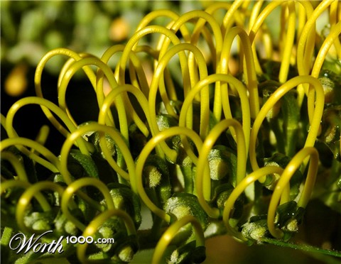 Photography by ozplasmic