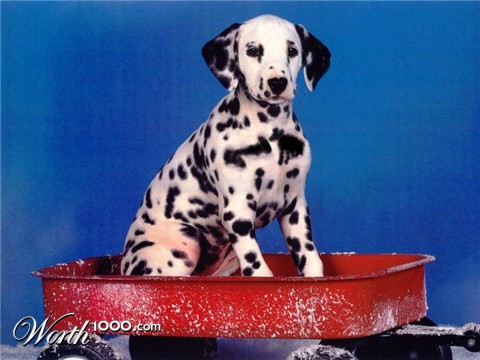 Photoshop Design by nova22