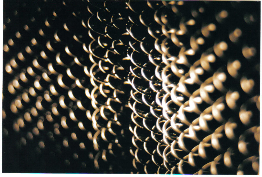 Photography by faeriefly__ for DesignCrowd (Community Contests) | Design #9090778