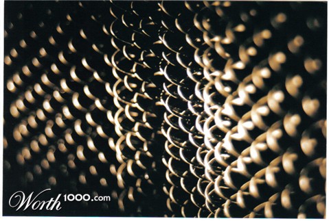 Photography by faeriefly__