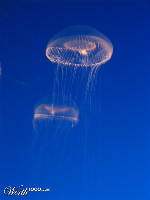 Photography by notmyrealnametoo