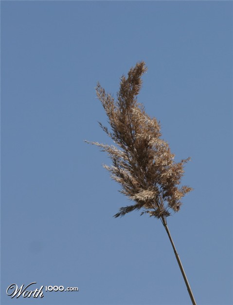 Photography by jiwasz