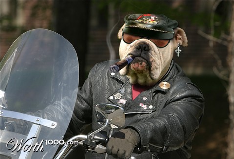 Photoshop Design by Ziaphra