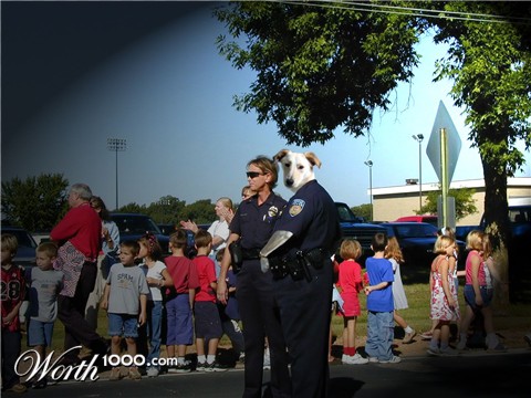 Photoshop Design by manuelvv