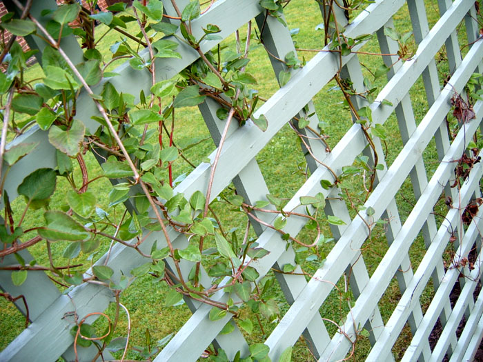 Photographie par spoofmedia pour DesignCrowd (Community Contests) | Design #9090832