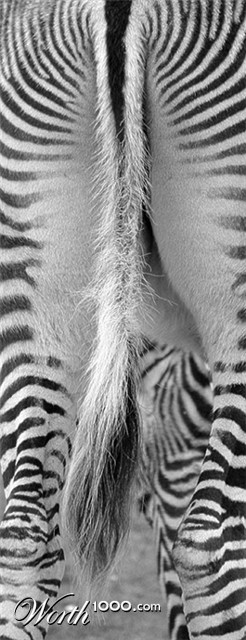 Photography by Alex999