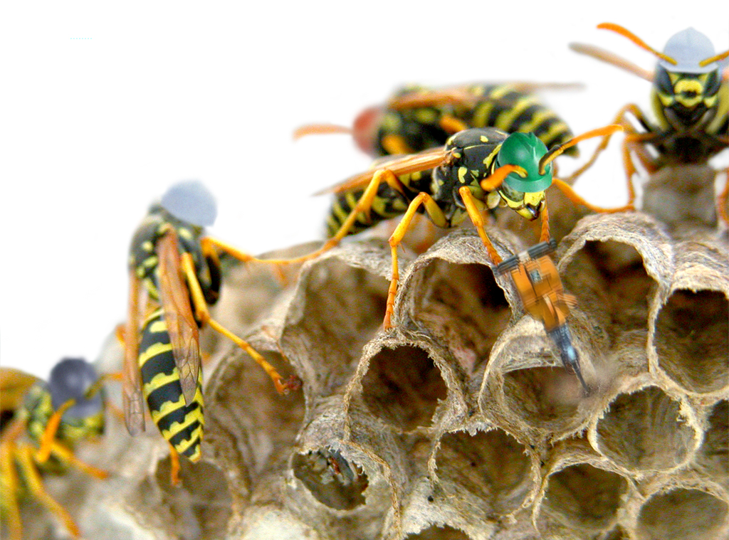 Photoshop Design by TIOCHICO for DesignCrowd (Community Contests) | Design #9087549