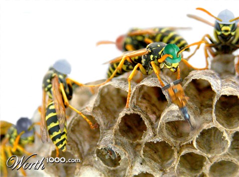 Photoshop Design by TIOCHICO