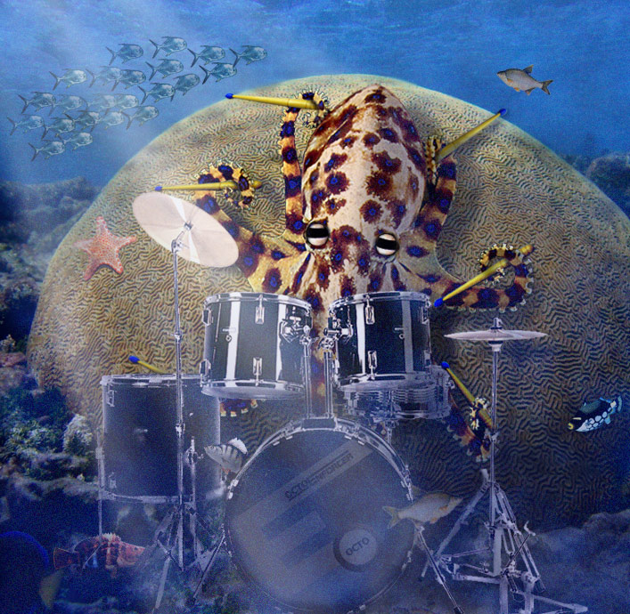 Design Photoshop par toadclipper pour DesignCrowd (Community Contests) | Design #9087545