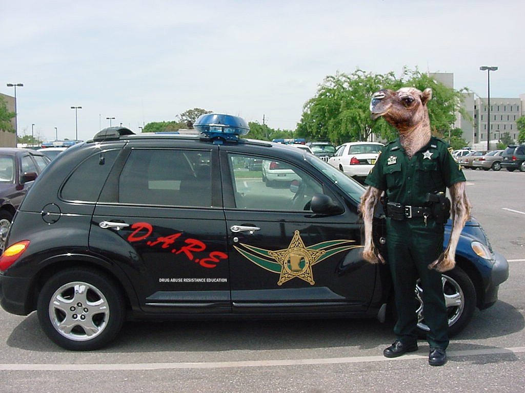 Photoshop Design by MarvLS Graphics for DesignCrowd (Community Contests) | Design #9087600