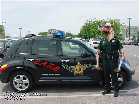 Photoshop Design by MarvLS Graphics