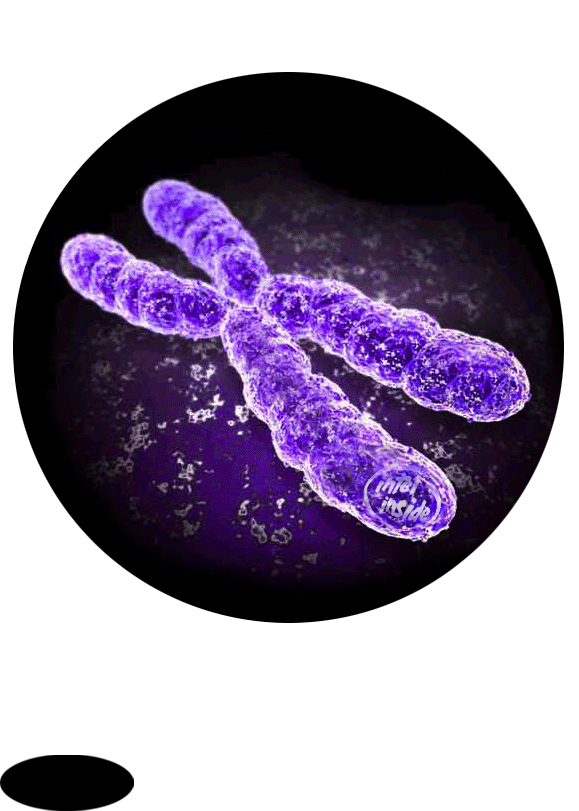 Photoshop-Design von strown für DesignCrowd (Community Contests) | Design #9087220