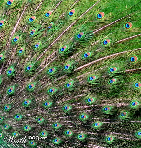 Photography by advance2