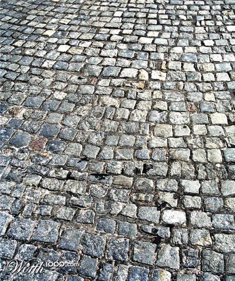 Photography by Chupakabra