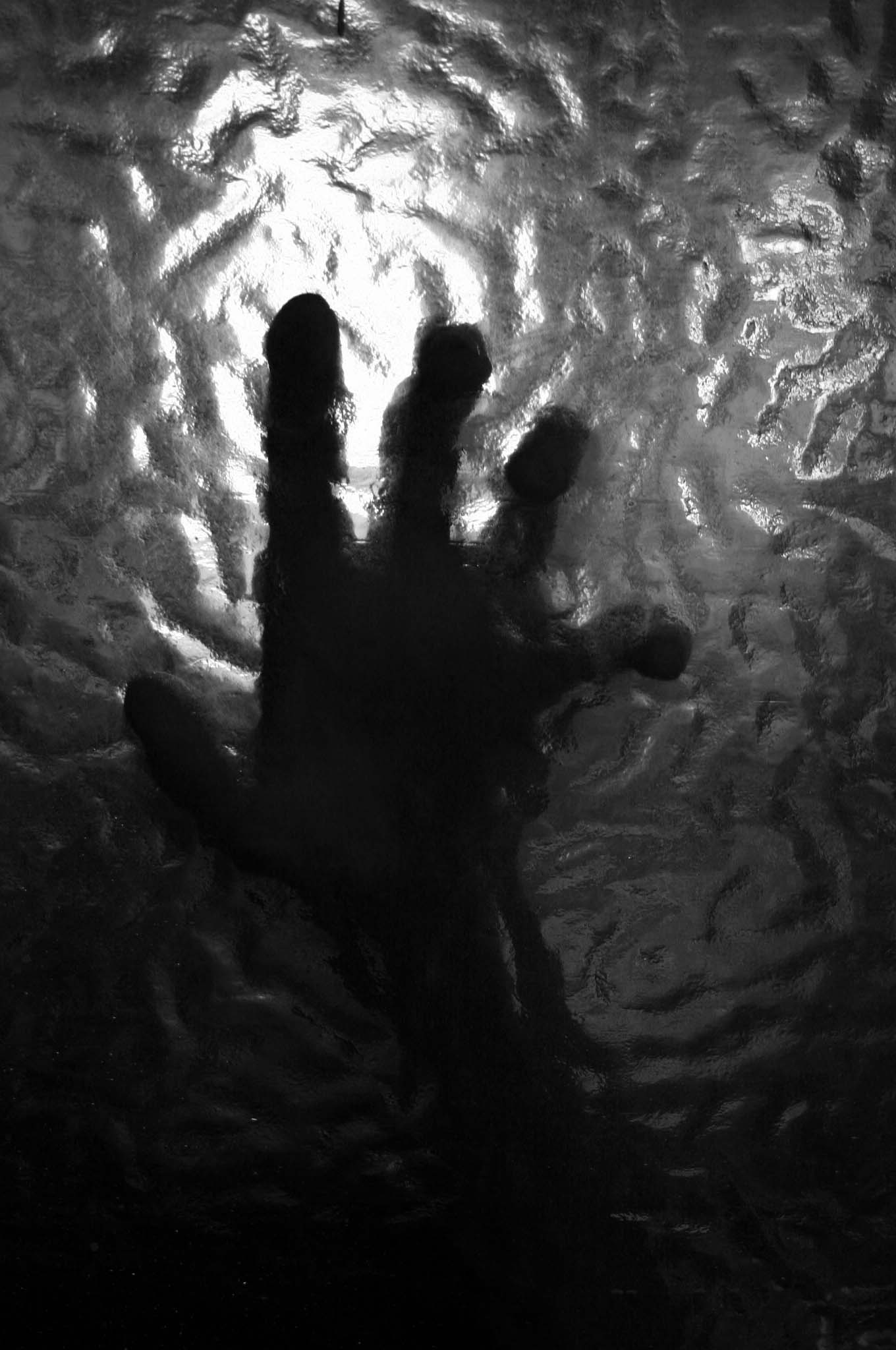 Photography by EmilBanck for DesignCrowd (Community Contests) | Design #9091736